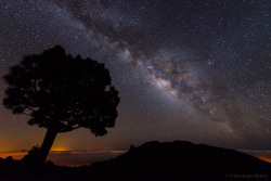 Kenobi-Wan-Obi:  La Palma Dark Skies     The Milky Way Appears In The Dark Starry