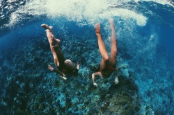 maliabythesea:  Adventures in the deep.