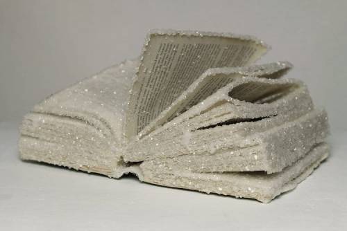 mymodernmet: Alexis Arnold Transforms Found Books Into Sparkling Crystallized Sculptures. 