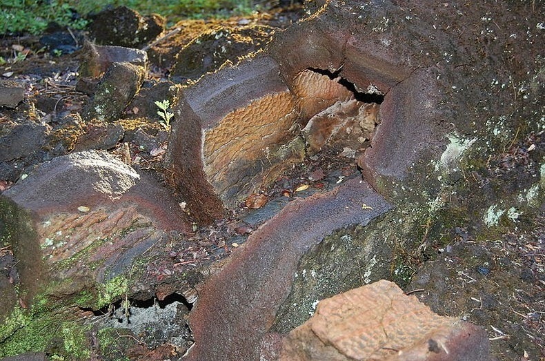 sixpenceee:  The Lava Trees of HawaiiWhen hot lava from a volcanic eruption invades