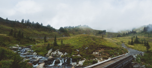 Mount Rainier National Park