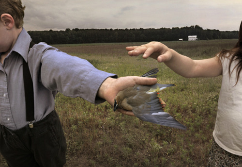 remembrane-blog: The offering by Tom Chambers