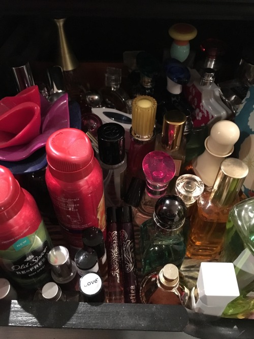 gelatinadeleche:From this angle alone there’s body spray, a bunch of fragrance oils, two bottles of 