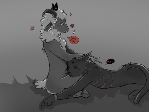 Soft Narilamb