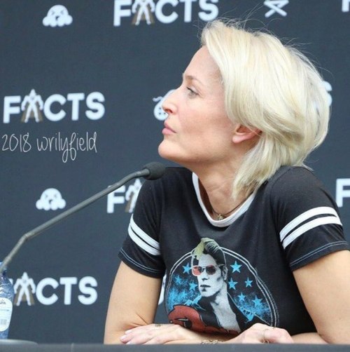 i-still-want–to-believe: Gillian Anderson - Facts Convention panel - April 7, 2018 (x) I&rsquo;m sor