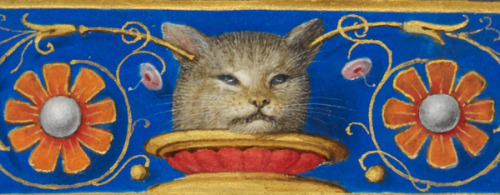 minutemanworld:Historical cats!Grumpy medieval cat for peashooter85.