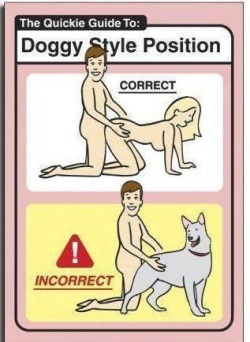 trevorsostarich:  Doggy style instructions.