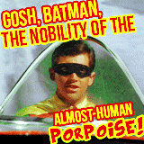 XXX :  The best of Robin in Batman (1966)  photo