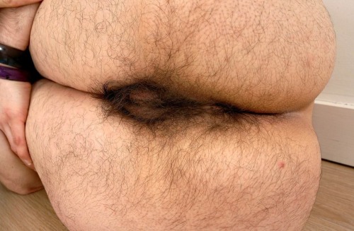 hairycommunity:  Very hairy ass  I LOVE THIS ASS! ! ! !