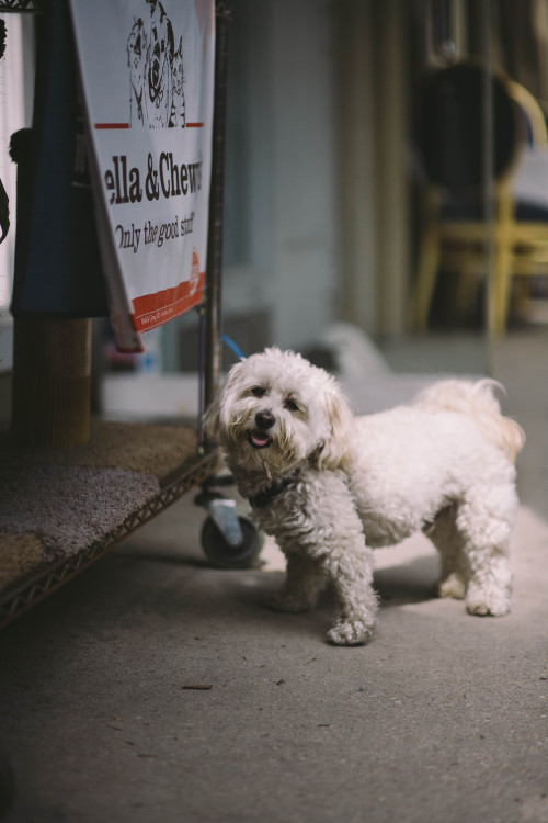 Everyday People: This is a collection of photos I took today on an outing in Bethesda, it was purely