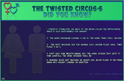 mytwocentrosaurases:  did—you—know:  Did You Know? | 021   The last one. But