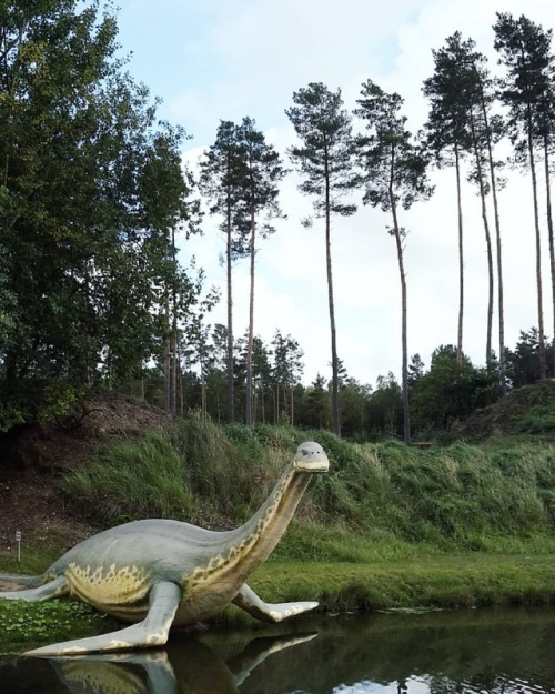 Please burry me there. #dinopark #nesdie #plesiosaur #cryptoclidus (hier: Tier und Dino Park Germend