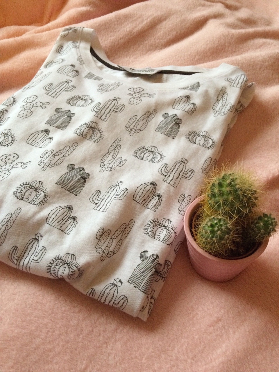 paleception:  annikhorrore:  Zara cacti tee 🌵💗   cute lil plant blog coming