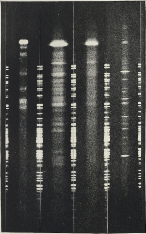 nemfrog: Max Wolf. Die Spektra von vier Wolf-Rayet-Sternen. 1913. Heidelberg University