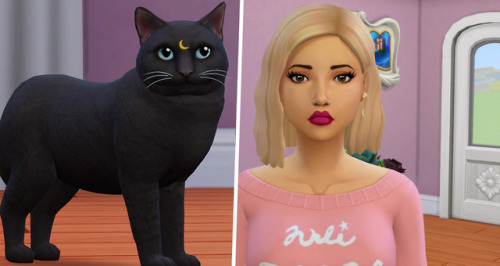 Meet Sybil and her cat, Jinx. A witch who is self-absorbed, romantic (but not committed) and dislike
