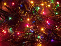 toywaving:Christmas Lights (1, 2, 3)