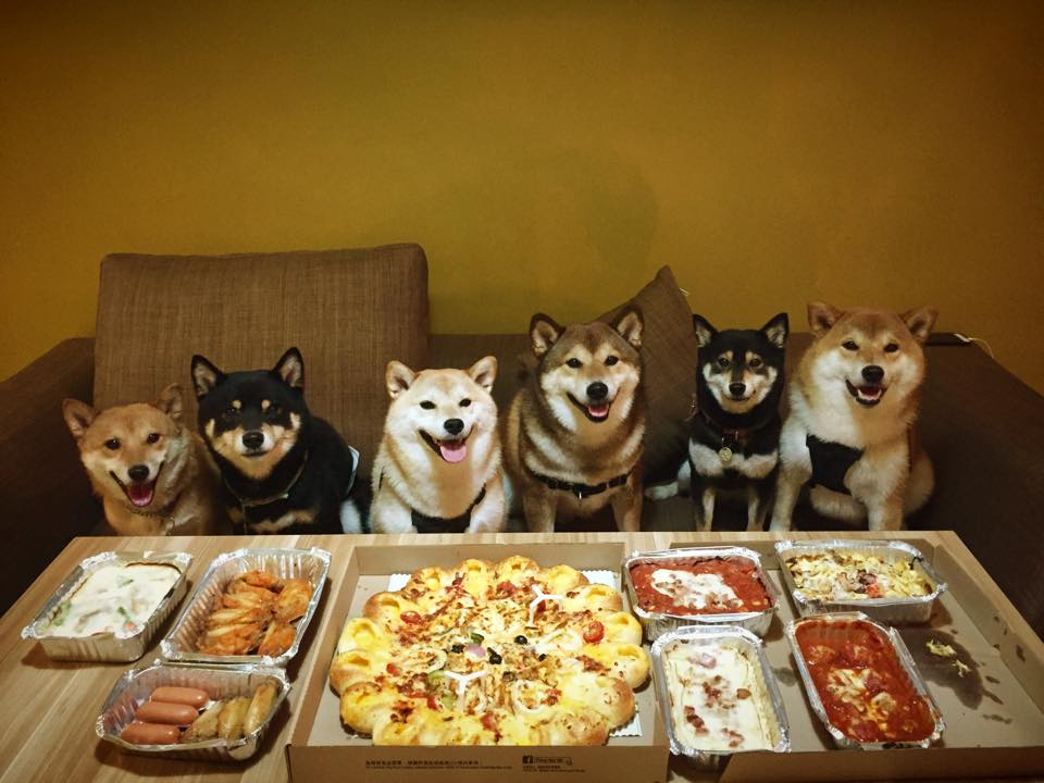 militaryfitbombshell:  awwww-cute:  Pizza night (Source: http://ift.tt/1IXJdpJ) 
