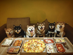 bopeep:  awwww-cute:  Pizza night (Source: http://ift.tt/1IXJdpJ)  im the lil dark haired one on the far right….which are u