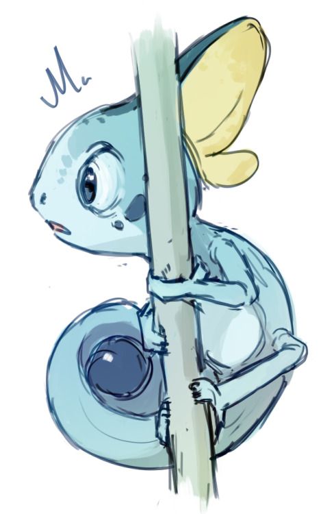 mewitti:  So how about them new starters? It’s looking like they can’t stay away from Fire/Fighting for more than one generation… I kinda want to refine these nice and pretty like I did with the gen 7 starters but I also have a lot on my plate.