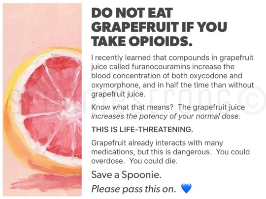 jenniferrpovey: illness-adnauseum:  flootzavut:   shaneduderson:  punk-dorian:   squirreltastic:  fadingtoruin:  spooniestrongart:   Not just opioids. Things like Seroquel too.  https://www.drugs.com/article/grapefruit-drug-interactions.html heres a