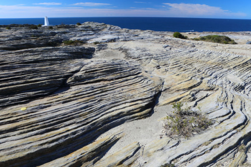 geologicaltravels:2017: Cross-bedding in the Triassic Hawkesbury Sandstone