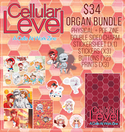 cellularlevel-zine: Preorders have now opened for Cellular Level, a Cells at Work Zine featuring bot