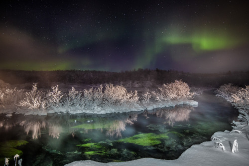 tiinatormanenphotography: Another shot from aurora archives.This photo is from Northern Lapland. Wat