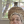 lilyrabesfuckingeyes:  ahs-delrey:  sarahdrunkson:  when monsignor timothy isn’t