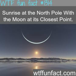 wtf-fun-factss:  Sunrise at the North Pole With the Moon at its Closest Point MORE OF WTF FACTS are coming HERE nature, movies  and fun facts