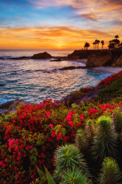 italian-luxury:  Treasure Island Beach by Tom Bricker