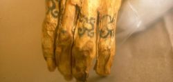 unexplained-events:  The tattooed right hand of a Chiribaya mummy is displayed at El Algarrobal Museum, near the port of Ilo in Southern Peru..The Chiribaya were farmers who lived from A.D. 900 to 1350 and practiced tattooing. Researchers and experts