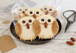 etsy:  Learn how to make the absolute cutest owl cookies ever with this exclusive DIY tutorial on the Etsy Blog. As sweet Thanksgiving party favors or charming, homespun holiday gifts, they’re sure to make an impression. 