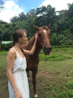 made a new friend today 🐴❤️