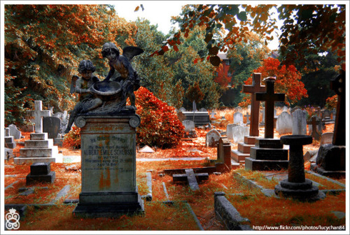 bookofoctober:Autumn Morgue series by lucypop (Old Brompton Cemetery, London)