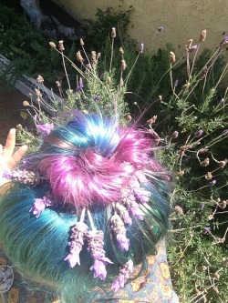 zen-mommy:  I’m a lavender head 