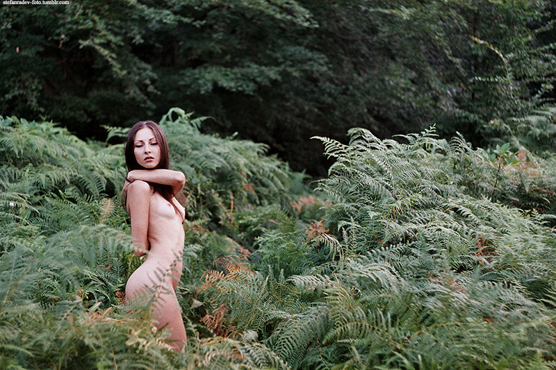 petyagencheva:  by Stefan Radev Adventures in the green (please keep the credits