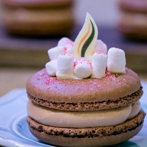 Hot Cocoa Marshmallow Macaron anyone?   #disneyland #disney #festivalofholidays #disneylife #disneyg