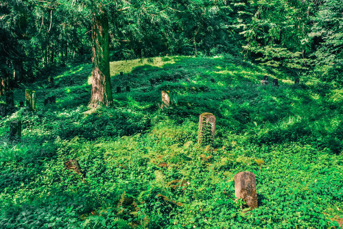 Abandoned Cemetery山奥の無縁墓地,日本