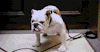 lonelyzarquon:Alright, you guys have fun. Be safe, okay?+ Bonus: