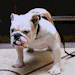 lonelyzarquon:Alright, you guys have fun. Be safe, okay?+ Bonus: