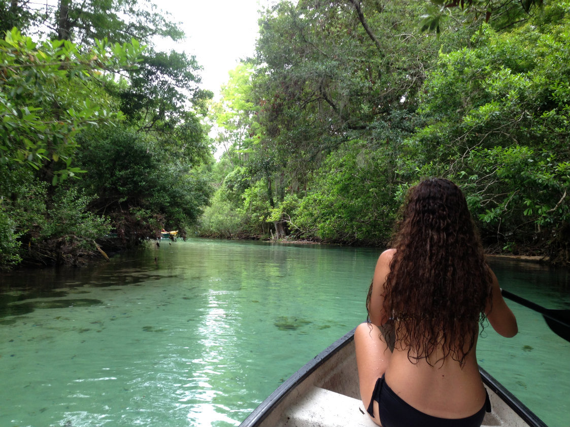 tropicri:  Tropical Blog ☯ 