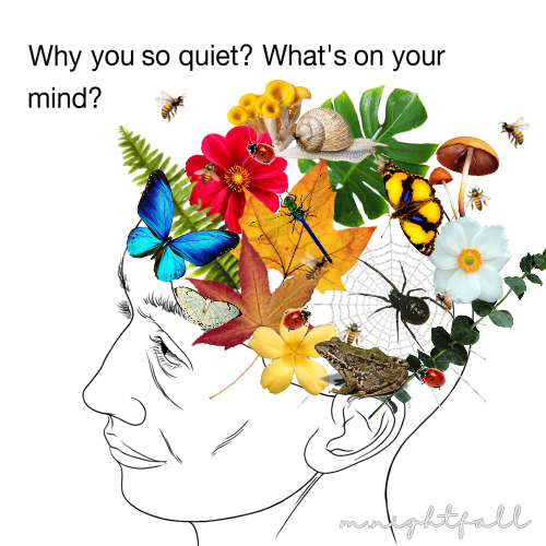 (meme)
what's on your mind?
me: πΏπΊπ¦π·οΈπΈοΈ
mnightfall