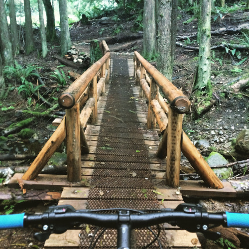 trailforks: Cream Soda TrailPRCA Chain Gang built this trail for a purpose: to connect racers on BC 