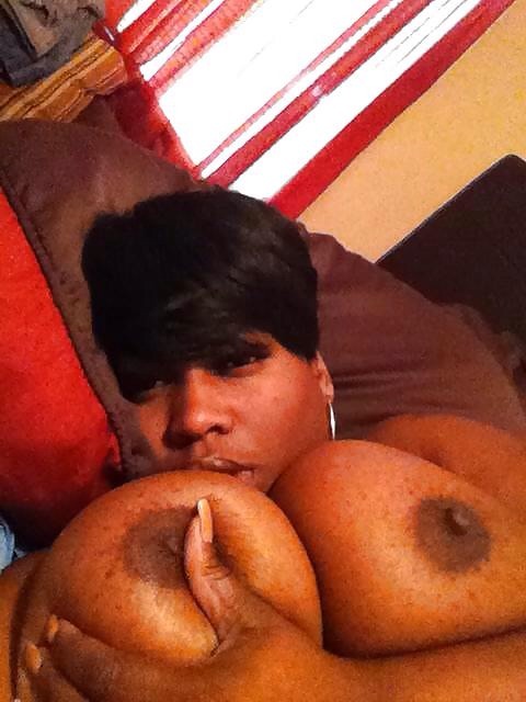 freebigmelons:  