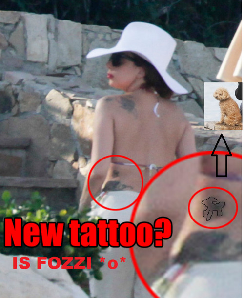 ladygaga420:  ladygaga420:  *goes on littlemonsters.com*  *leaves littlemonsters.com*