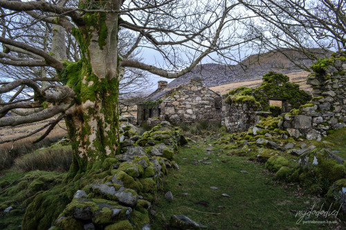 Cae'r-gors And Cerig-y-nyth