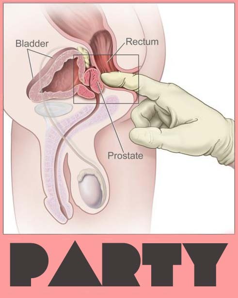 Porn photo prostate-milking:  How to prostate milking