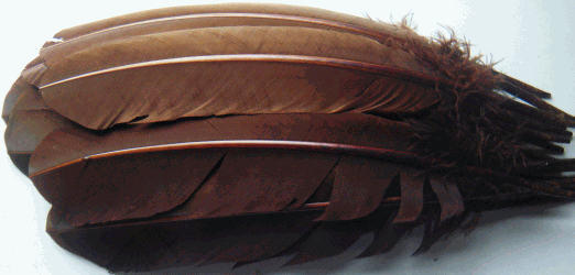 baetology:  brown moods // @immafilthymudblood
