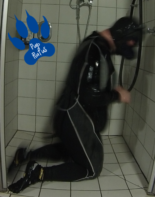 Rufus In Need Of A Quick Shower *wruff*
