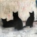 Porn Pics happyheidi:Black cats in paintings 🐈‍⬛